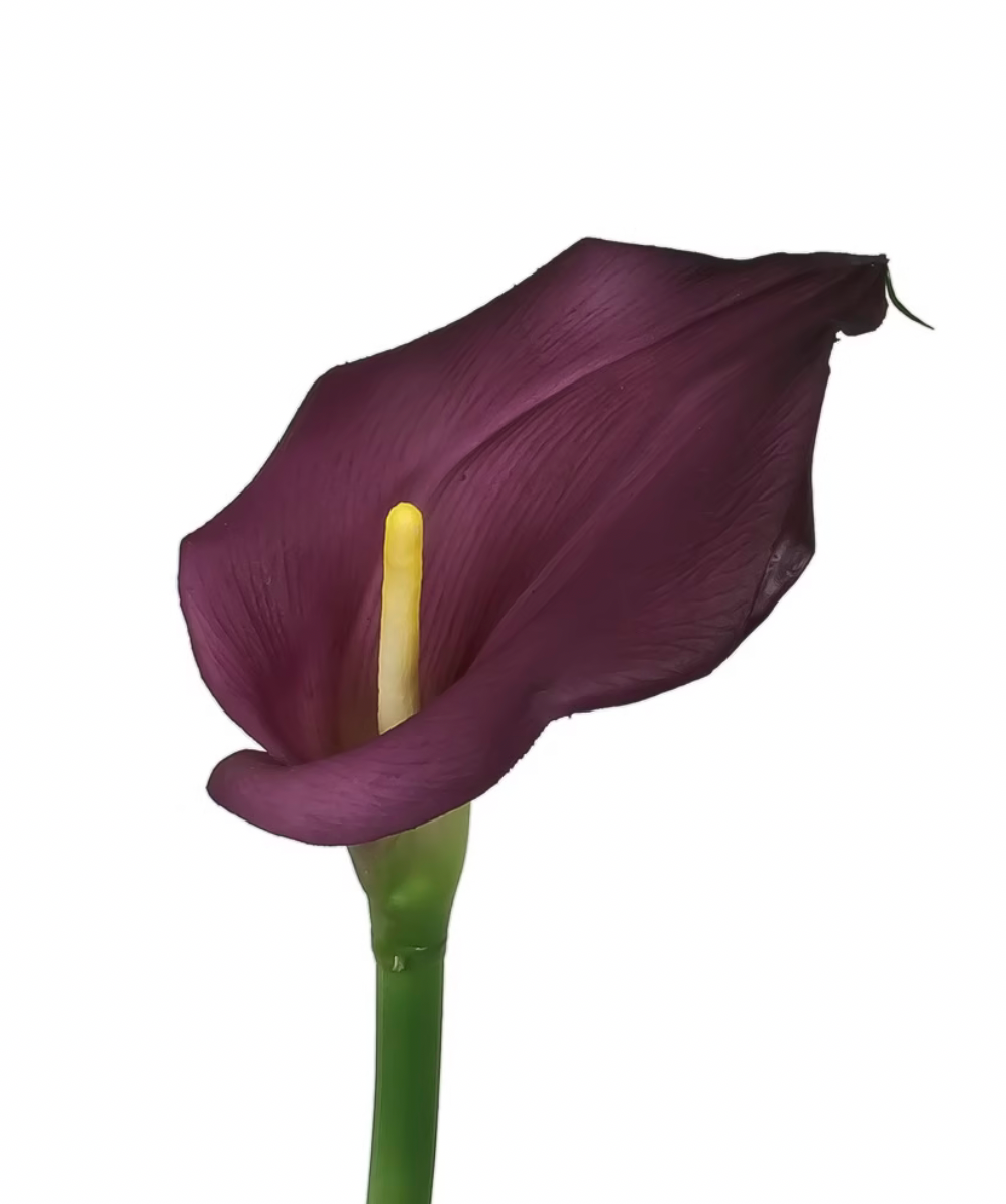 Yapay Tek Dal Gala (60 CM)