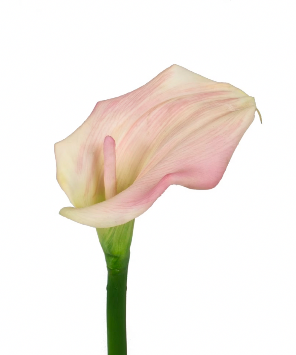 Yapay Tek Dal Gala (60 CM)