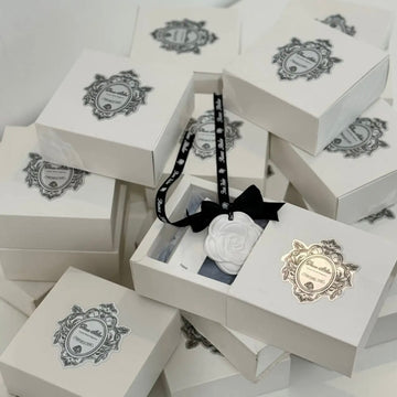 Araç Kokusu