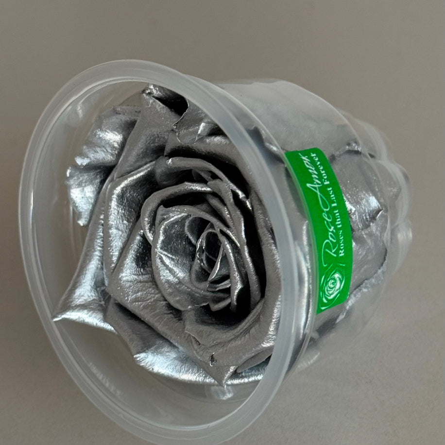 Metalik Silver Ekvator Gülü