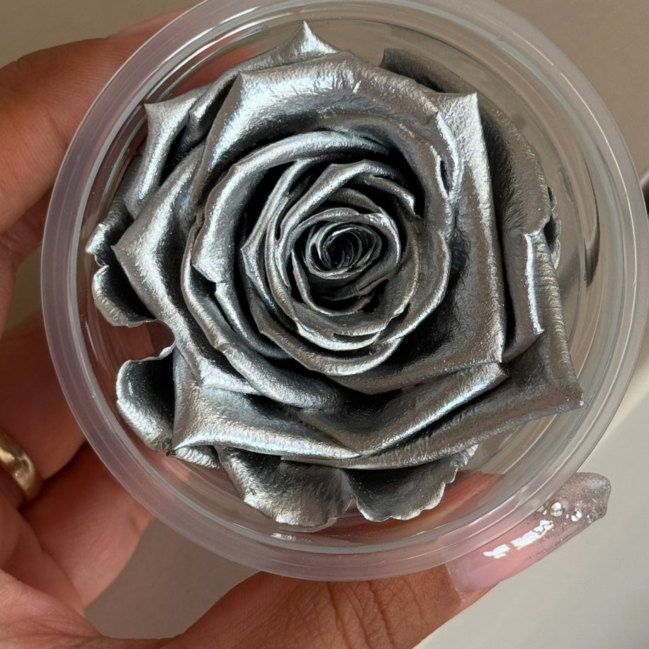 Metalik Silver Ekvator Gülü
