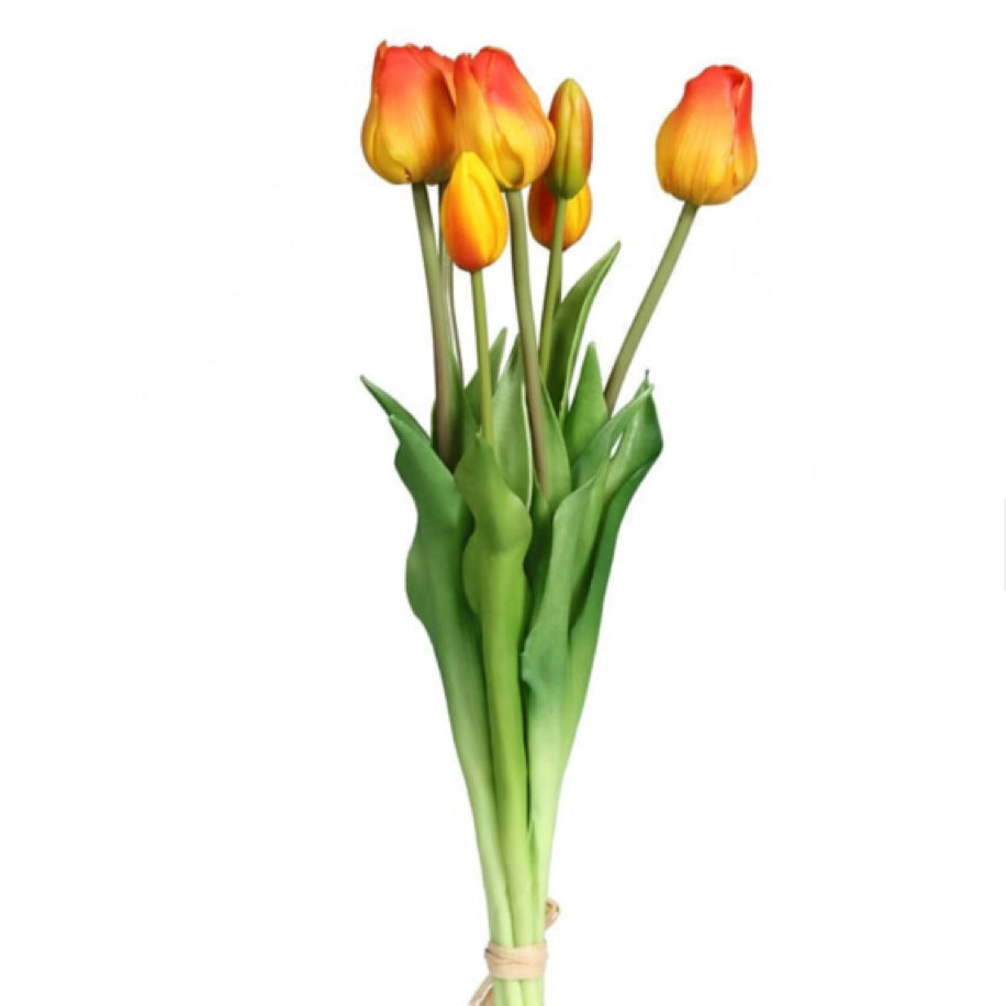 Islak Dokulu Lale