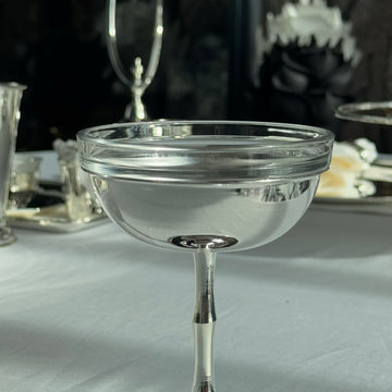 Gümüş Dondurmalık Cup