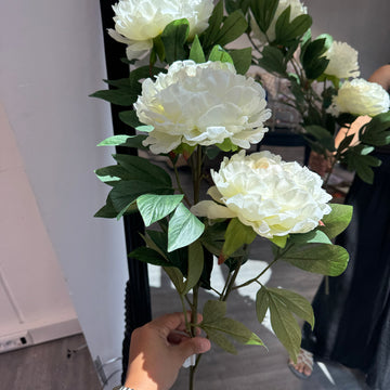 Peony Spray